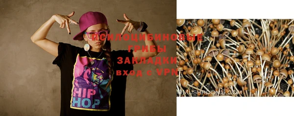 спайс Алексеевка