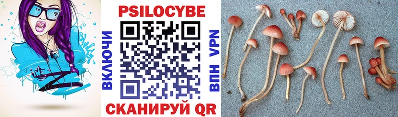 MEGA ССЫЛКА  где найти наркотики  Боровск  Галлюциногенные грибы мухоморы 